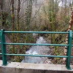 DSCN3141