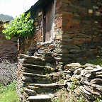 DSCN2154