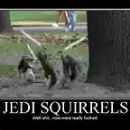 jedisquirrels