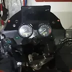 metraquilato pintado