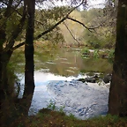 DSCN3749