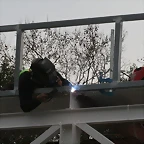Zoo de Barcelona 23-02-11 155