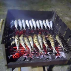 DSCN5746