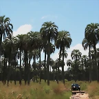 Argentina 2010 524