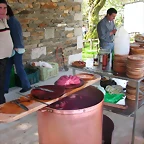 siembra 035