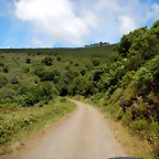 DSCN1507