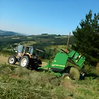 DSCN2387