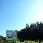 DSCN6946