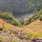 DSCN9917