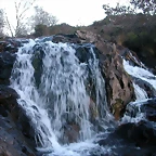 DSCN6693
