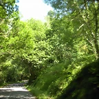 DSCN5010