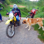 DSCN5100