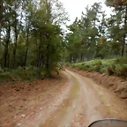 DSCN7241