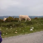 reglaje 014