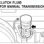 clutch fluid