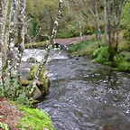 DSCN5750