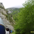 S6006184
