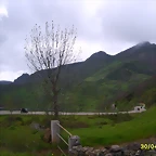 S6006203