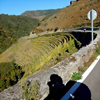 DSCN0911