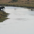 Kruger National Park 28-31 mayo 2009 1253
