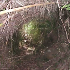 PICT0074