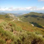 DSCN3599