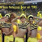 gays tri