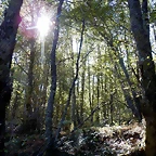 DSCN7902'4