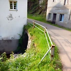 DSCN5067