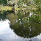 DSCN5294