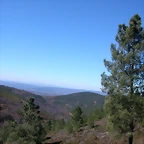 DSCN7930