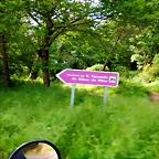 DSCN5218