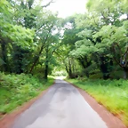 DSCN5219