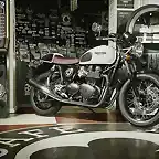 Thruxton Ace Store Shot