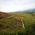 DSCN8972