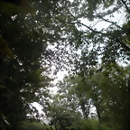 DSCN8418