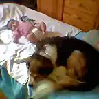 La peque y su perro