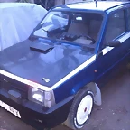 panda