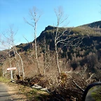 DSCN2796