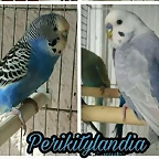 FB_IMG_1508179581760