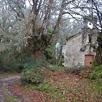DSCN7200