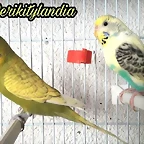 FB_IMG_1502985226747