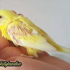 FB_IMG_1538653710943