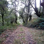 DSCN8482