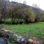 DSCN0559