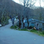 DSCN9096