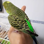 20190719_234722