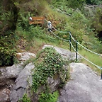 DSCN5847
