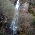DSCN2590