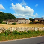 DSCN6393